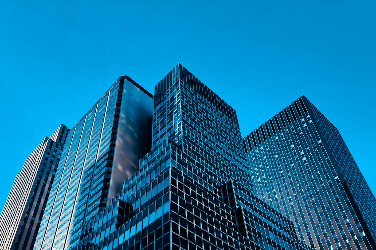 Modern corporate towers